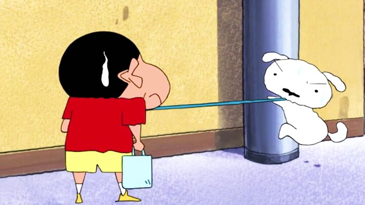 I really want to have a pet like Xiaobai