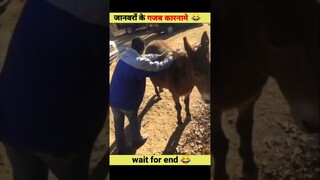 जानवरों के गजब कारनामें 😂 देखकर हंसी नहीं रुकेगी 😂 | funny animals | #short #youtubeshorts