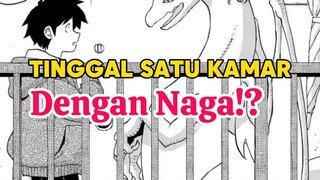 Tinggal Satu Kamar Dengan Naga Cewe!?