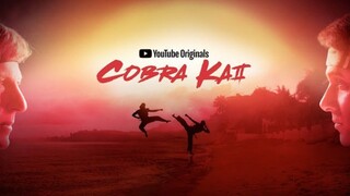 Cobra Kai Season 1 Episode 9 In Hindi Dub