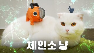 체인소냥 | 고양이산책