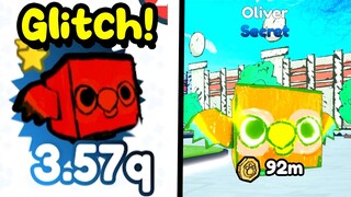 😮I Found *NEW* GLITCH for NEW SECRET DOODLE PARROT in Pet Simulator X (New Update)