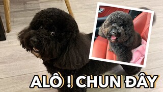 Mình là Chun Chun đây Vlog 186