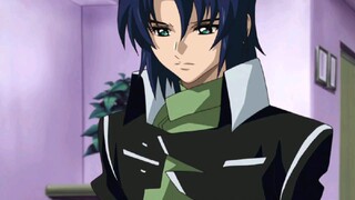 gundam seed destiny 11