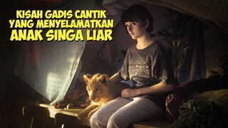 Anak Singa Liar Yang Diselamatkan Oleh Gadis Cantik | Alur Cerita Film KING (2022)