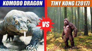 Komodo Dragon vs Tiny Kong (2017) | SPORE