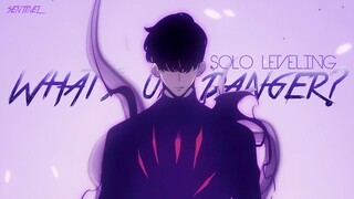 Solo Leveling MMV「AMV」- What's up danger?