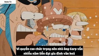 Top 7 Lão Già Trâu Trong One Piece #30- 4