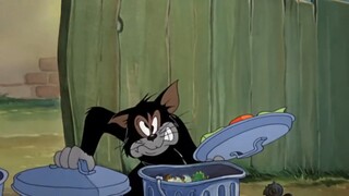 Tom and Jerry | Buddies for life