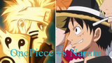 Tổng hợp những pha khiến ng xem khóc hết nước mắt của các bộ Anime OnePiece Naru