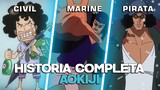 La FRÍA realidad de AOKIJI - One Piece Historia y Evolución