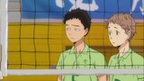 Why do we love volleyball? The volleyball boy tells you! [Carrot chasing volleyball]