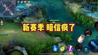 新赛季队友：这暗信疯了？