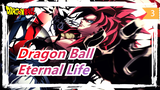[Dragon Ball] Do Whatever You Want to When You Have an Eternal Life!_3