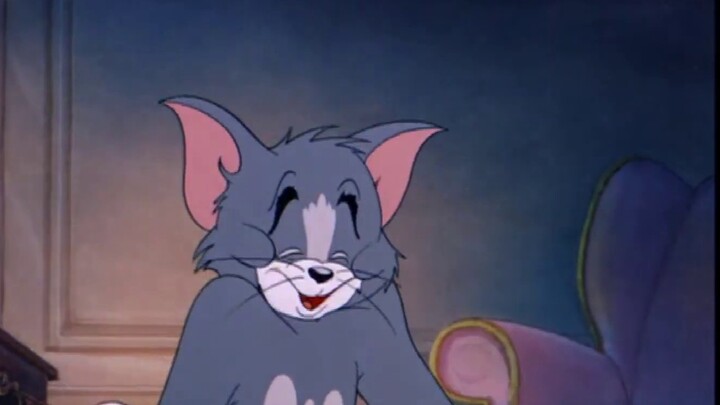 【Tom và Jerry / Queen】 Tình yêu của đời tôi