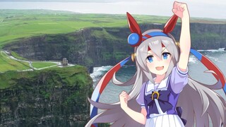 When you are confused, you might as well listen to what Tamamo Cross said