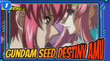 Gundam Seed Destiny - Menyentuh AMV | Kimi wa Boku ni Niteiru_1