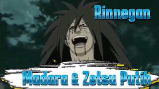 Madara Menggunakan Rinnegan Dari Zetsu Putih dan Tertawa Terbahak-bahak | Naruto