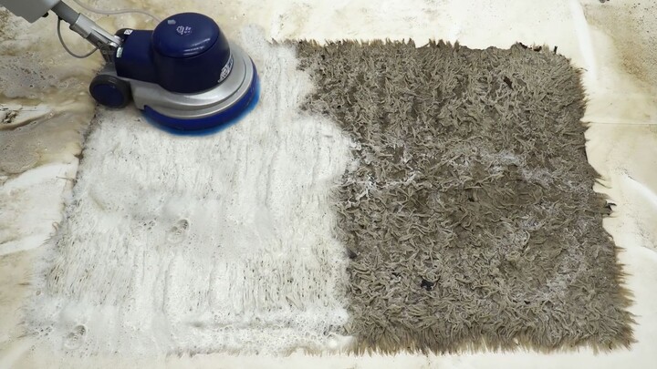 [Pembersihan Immersive] Membersihkan karpet yang telah dipenuhi serangga dengan keras, dan sejumlah 
