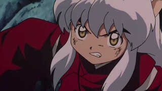 [ InuYasha ] Layarnya imut dan kritis! Kenapa aku tidak menemukan bahwa InuYasha sangat imut sebelum