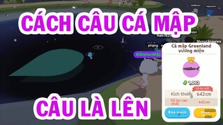 PLAY TOGETHER| cách câu cá mập Green land vương miện  game play together| MắmHeotv