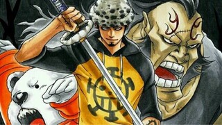 Kru Trafalgar Law menunjukkan kekuatannya❗️