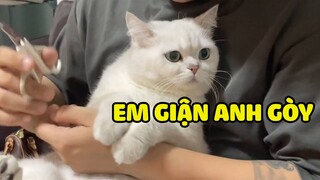 HOÀNG THƯỢNG dỗi - Đừng có đụng NGƯỜI TA nghe chưa?| Pets TV