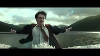 Harry Potter Tribute (Hedwig's Theme) Harry Potter Tribute