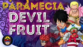 All Paramecia Devil Fruit Review