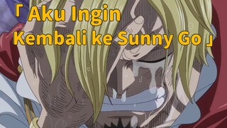 Aku Ingin Kembali ke Sunny Go, dan berlayar LAGI bersama kalian