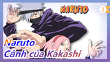 [Naruto: Sức mạnh vỹ thú][Kakashi]Naruto luyện tập đặc biệt-Sakura: Lớp không có người thường_B