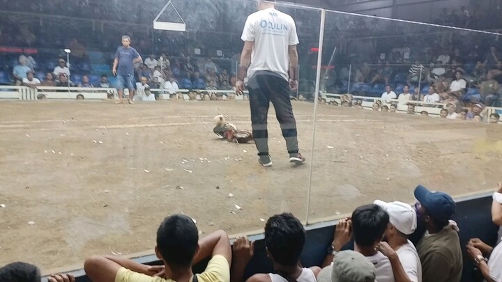 Pagmananalo talaga mananalo,