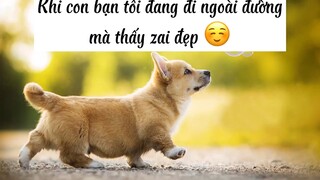 Khi con bạn tôi gặp zaiđẹp ngoàiđường và kết quả là ...