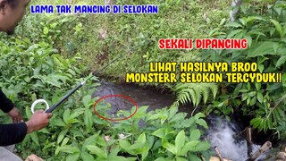 GILAA..!! Gak Nyangka Kalau Baka Strike Babon Segede Ini Di Selokan