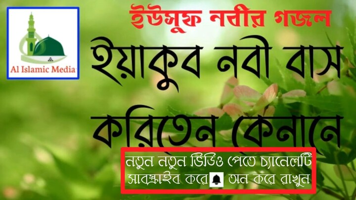 ইউসুফ নবীর গজল কারী মোহাম্মদ বশিরুল ইসলাম