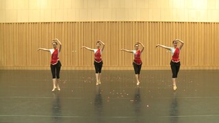 中国舞蹈家协会舞蹈考级 第十级【新版全集】