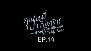 The Miracle of Teddy Bear EP.14