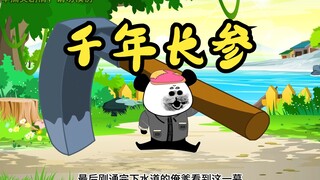 想当年大家吃了我和阿瓜挖的”千年长参“，全体疯了