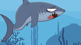 Shark bị đồng nghiệp "mỉa"