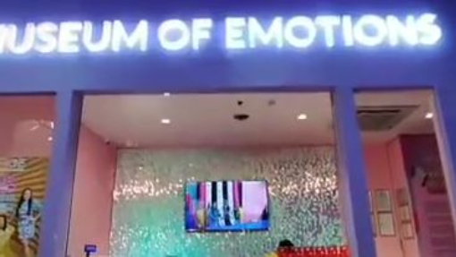MUSEUM OF EMOTIONS