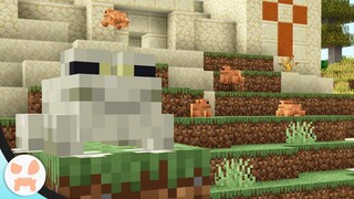 Adding Frogs To Minecraft 1.18