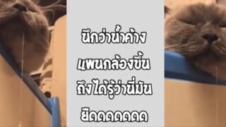 รวมคลิปตลกๆ : ไหลยืดเป็นน้ำตกเลยนะ!!!