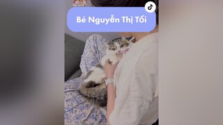 Replying to   Đây là bé Tối, Sáng nào pà nhacona mèo cat funny cutecat tranvansang xuhuong