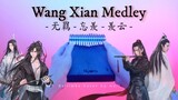 Wang Xian Medley : 无羁(Wu Ji)-忘羡 (Wang Xian)-羡云(Xian Yun) - Kalimba Cover by meiT 【With Tabs】
