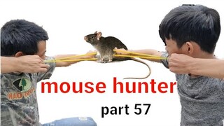 mouse hunting part 57.  bắn chuột bằng ná cao su tập 57