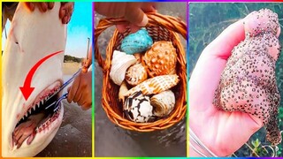 Catching Seafood 🦀 ASMR Relaxing (Catch Shark , Catch Fish ,Deep Sea Monster ) #581