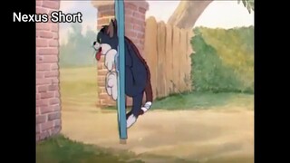 Tom & Jerry (Ep 9.3) Sufferin' Cats (phần 3) #TomandJerry