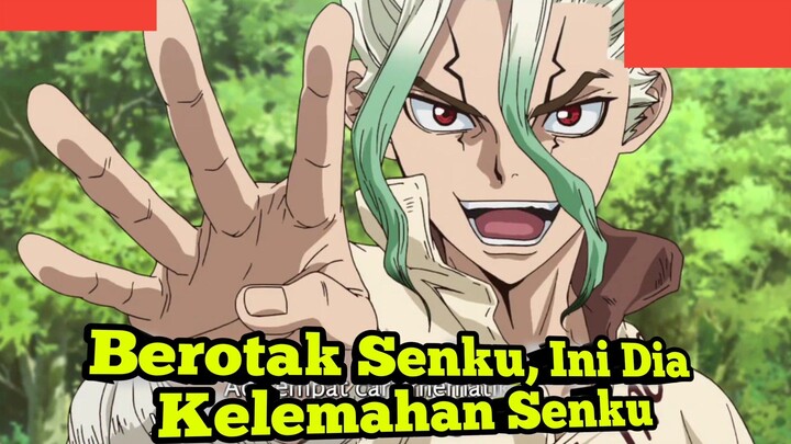 Berotak Senku, Ini Dia Kelemahan Senku !!!