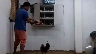 paunat Muna sa pakpak🐓🐓🐓😁😁😁