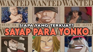 PARA SAYAP KAISAR LAUTAN - ONE PIECE